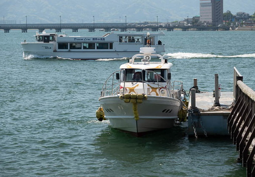 202504261002-DSC07785.jpg