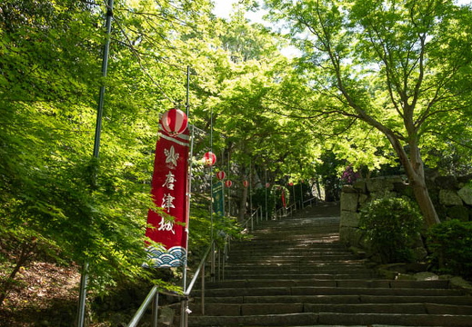 202504261009-DSC07798.jpg