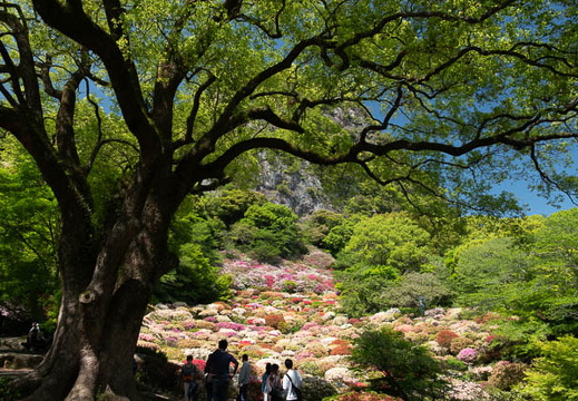 04.26 御船山楽園 - このアルバムのルートのイメージを表示する 04.26 御船山楽園