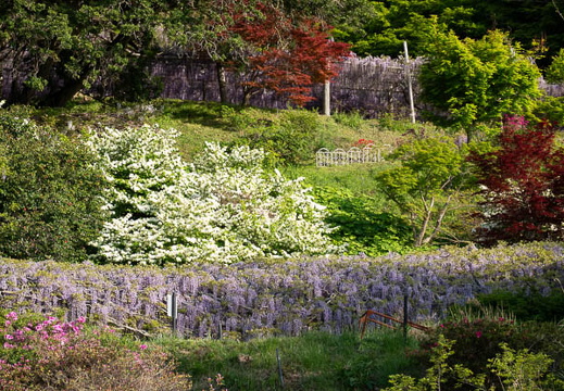 202504270741-DSC08340.jpg