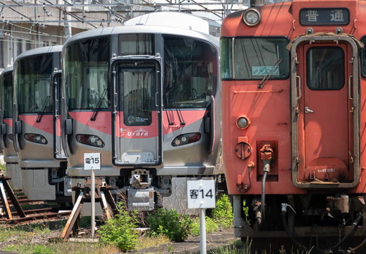202504291108-DSC09054.jpg