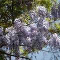 202504301136-DSC09629.jpg
