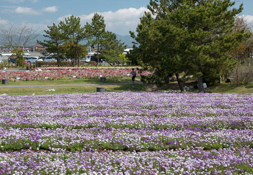 202505010931-DSC09839.jpg