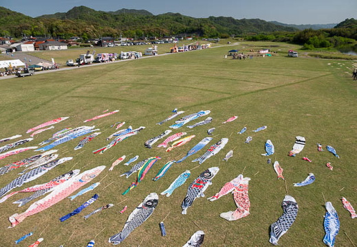 202505050845-DSC01669.jpg