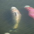 202505050849-DSC01687.jpg