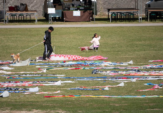 202505050852-DSC01702.jpg