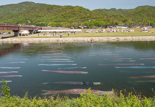 202505050853-DSC01708.jpg
