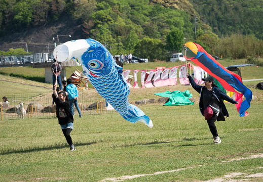 202505050914-DSC01778.jpg
