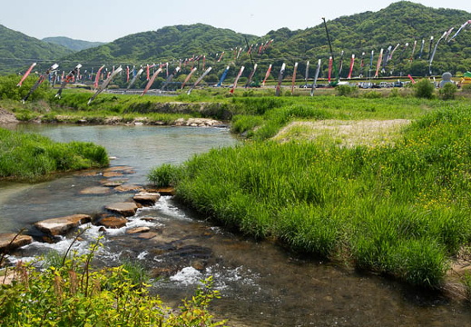 202505050956-DSC01867.jpg