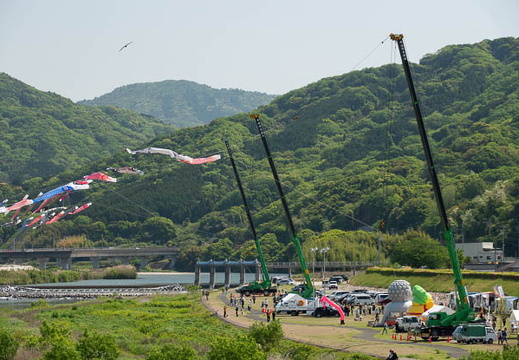 202505051004-DSC01903.jpg