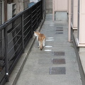 202505081745-DSC04117.jpg