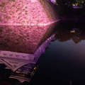 202505191953-DSC09635.jpg