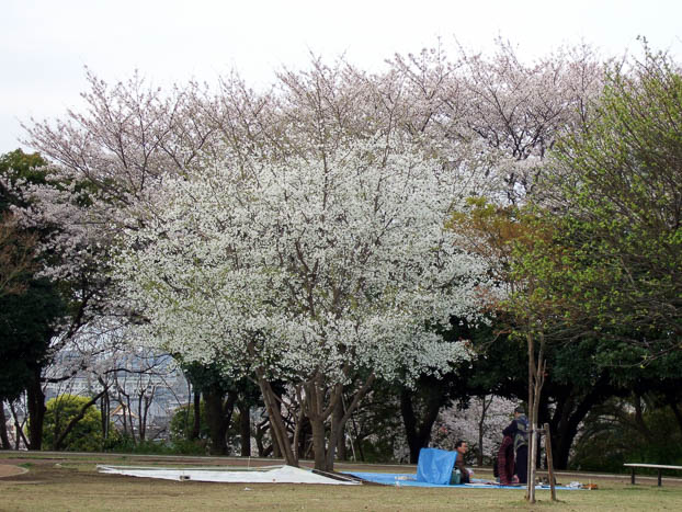 200703310653-DSCF0442.jpg