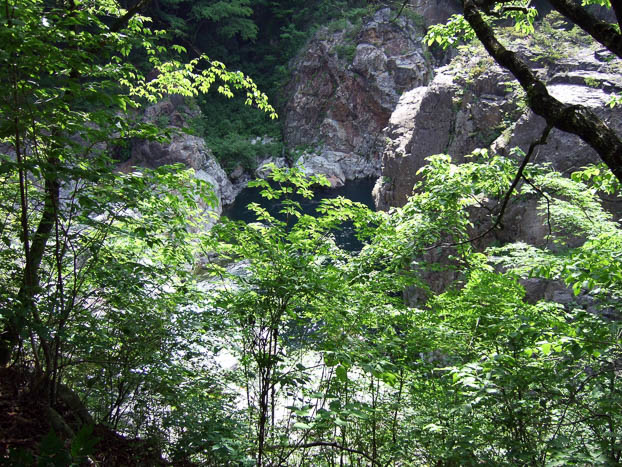 200706020830-DSCF0568.jpg
