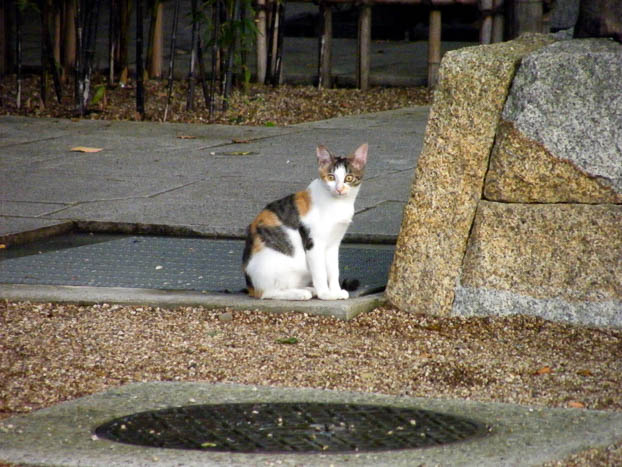 200710050631-DSCF0818.jpg