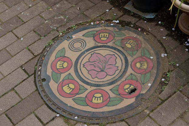 201004111644-DSC08593.jpg