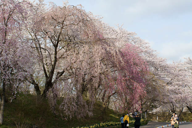 201004261611-DSC03620.jpg