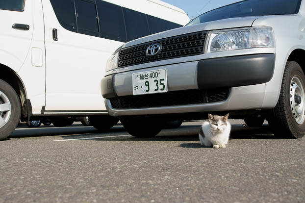 201005020726-DSC06886.jpg