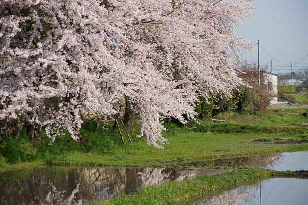 201005020737-DSC06891.jpg