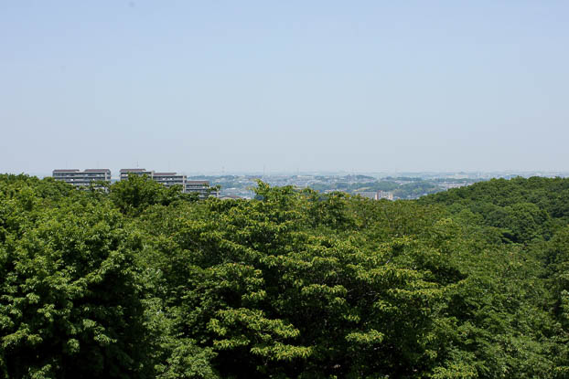 201006011113-DSC04945.jpg