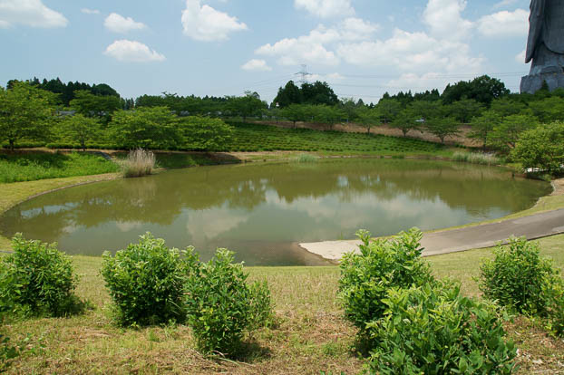 201006041212-DSC04915.jpg