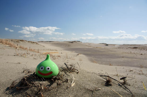 201103021348-DSC02023.jpg
