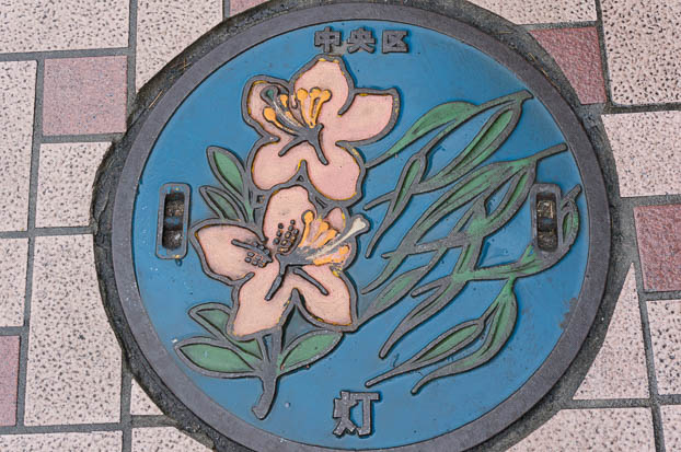 201302021012-DSC00490N.jpg