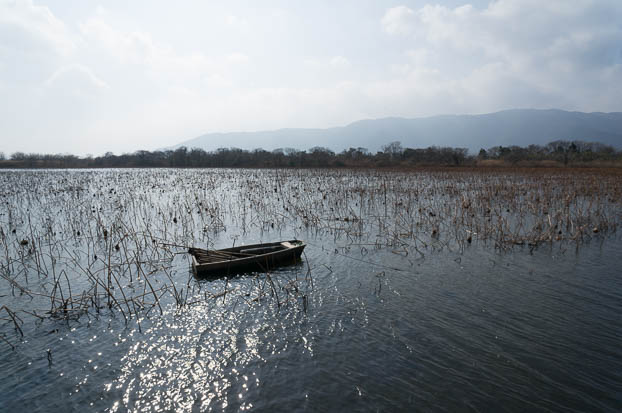 201302131345-DSC00879N.jpg