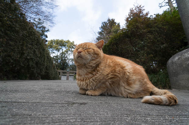 201302131433-DSC00903N.jpg