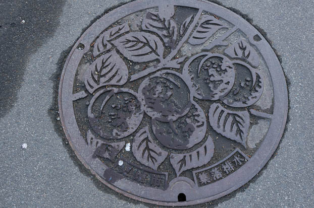 201304130656-DSC08039N.jpg