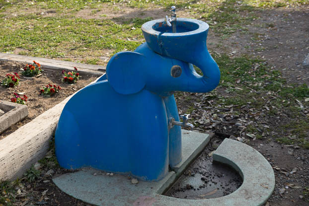 201304140733-DSC04421.jpg