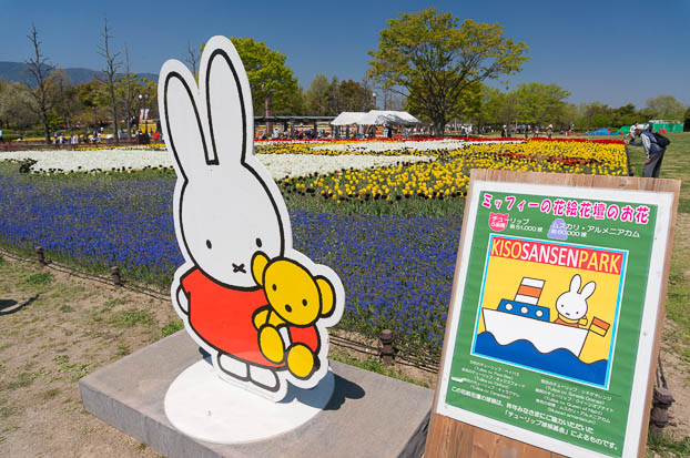 201404141108-DSC04934N.jpg