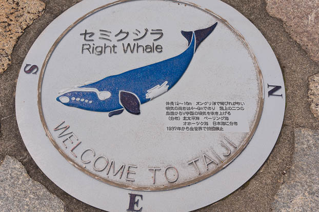 201509221226-DSC08541N6.jpg