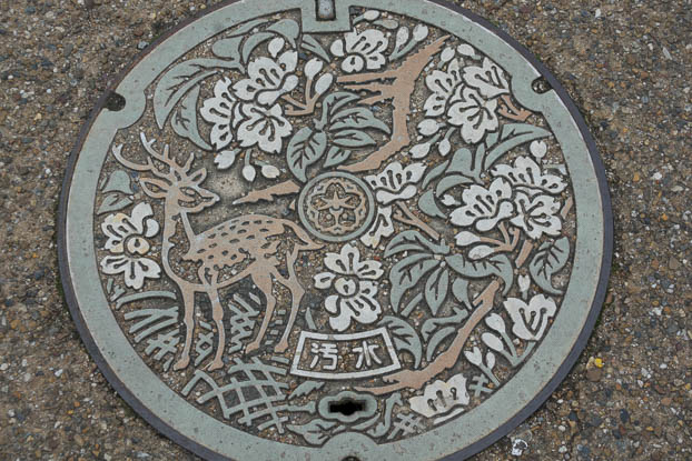 201704091405-DSC04220RX10M3.jpg