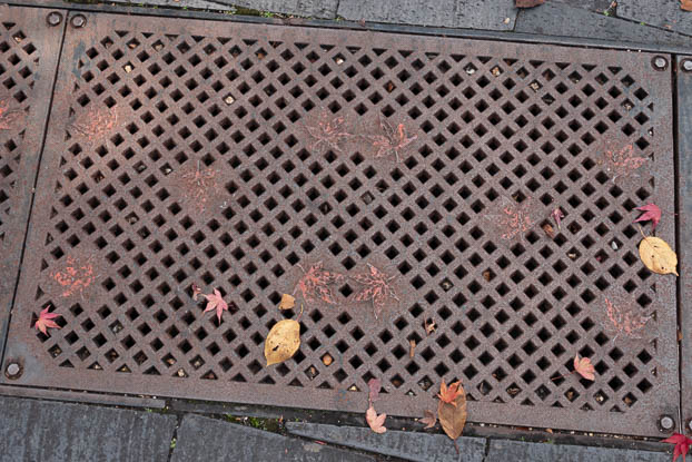 201911121122-DSC05420RX10M4.jpg