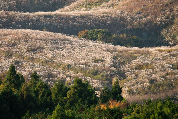 202011141553-DSC06139RX10M4.jpg
