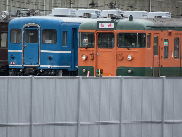 202502101047-DSC03147.jpg