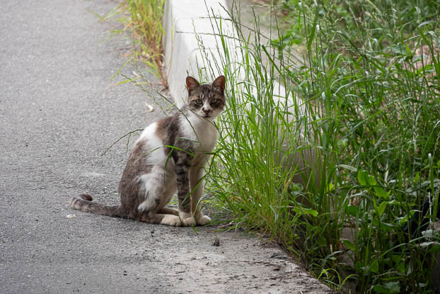 202506071450-DSC03057.jpg